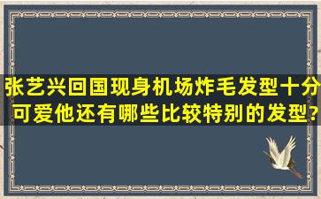 张艺兴回国现身机场,炸毛发型十分可爱,他还有哪些比较特别的发型?