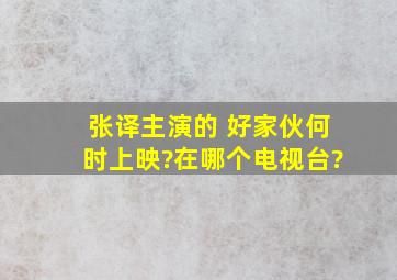 张译主演的 好家伙何时上映?在哪个电视台?