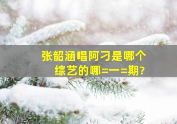 张韶涵唱《阿刁》是哪个综艺的哪=一=期?