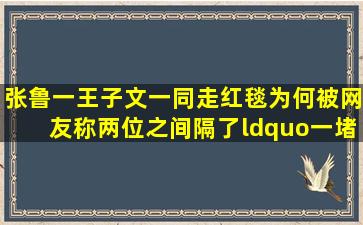 张鲁一王子文一同走红毯,为何被网友称两位之间隔了“一堵墙”?