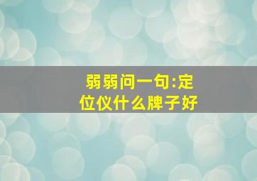 弱弱问一句:定位仪什么牌子好