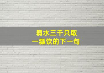 弱水三千只取一瓢饮的下一句