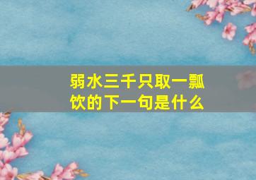 弱水三千只取一瓢饮的下一句是什么