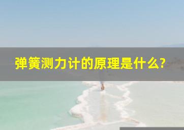 弹簧测力计的原理是什么?