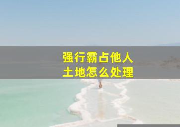 强行霸占他人土地怎么处理