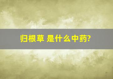 归根草 是什么中药?