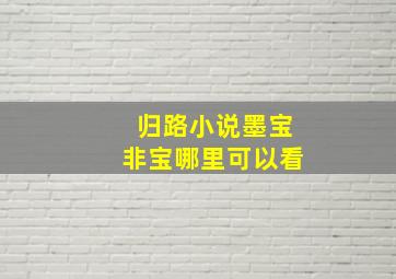 归路小说墨宝非宝哪里可以看