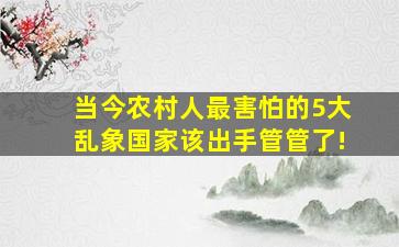 当今农村人最害怕的5大乱象,国家该出手管管了!