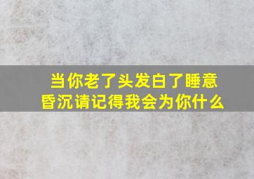 当你老了头发白了睡意昏沉请记得我会为你什么