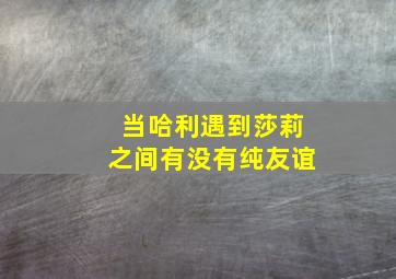 当哈利遇到莎莉之间有没有纯友谊