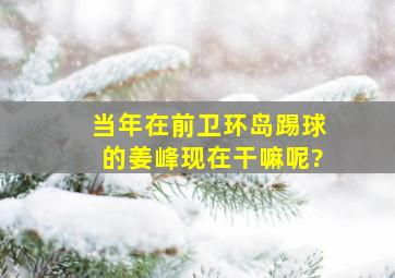 当年在前卫环岛踢球的姜峰现在干嘛呢?