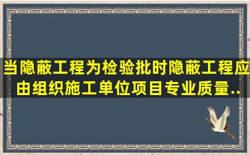 当隐蔽工程为检验批时,隐蔽工程应由(  )组织施工单位项目专业质量...