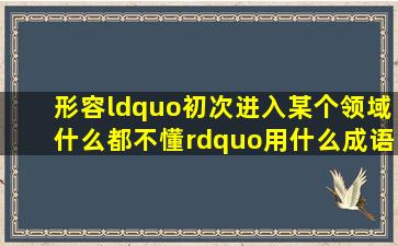 形容“初次进入某个领域,什么都不懂”,用什么成语?