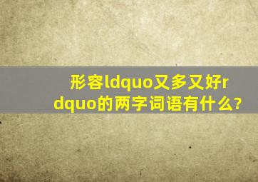 形容“又多又好”的两字词语有什么?