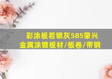 彩涂板若银灰585肇兴金属「涂镀板材/板卷/带钢」