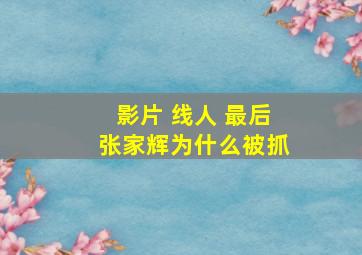 影片 线人 最后张家辉为什么被抓