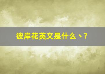 彼岸花英文是什么丶?