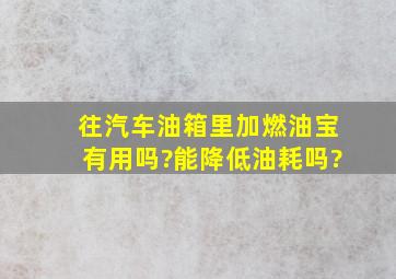 往汽车油箱里加燃油宝有用吗?能降低油耗吗?