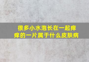 很多小水泡长在一起痒痒的一片属于什么皮肤病