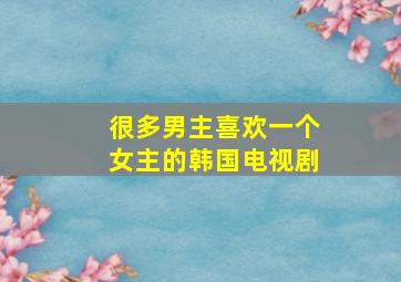 很多男主喜欢一个女主的韩国电视剧