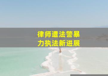 律师遭法警暴力执法新进展