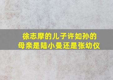 徐志摩的儿子许如孙的母亲是陆小曼还是张幼仪