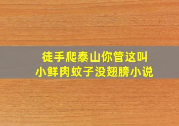 徒手爬泰山,你管这叫小鲜肉蚊子没翅膀小说