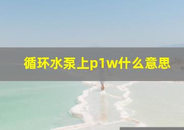 循环水泵上p1w什么意思(