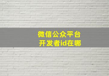 微信公众平台开发者id在哪