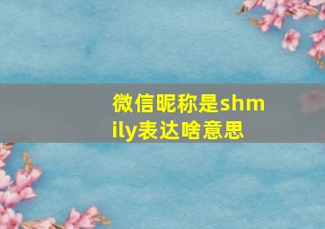 微信昵称是shmily表达啥意思