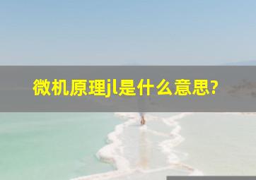 微机原理jl是什么意思?