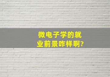 微电子学的就业前景咋样啊?