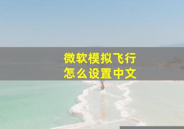 微软模拟飞行怎么设置中文