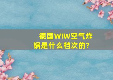 德国WIW空气炸锅是什么档次的?