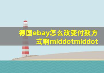 德国ebay怎么改变付款方式啊··