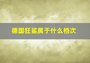 德国狂鲨属于什么档次