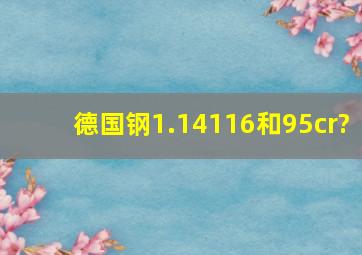 德国钢1.14116和95cr?