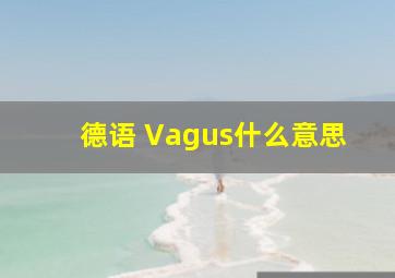 德语 Vagus什么意思