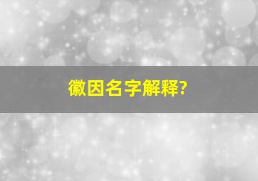 徽因名字解释?