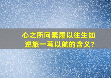 心之所向,素履以往,生如逆旅,一苇以航的含义?