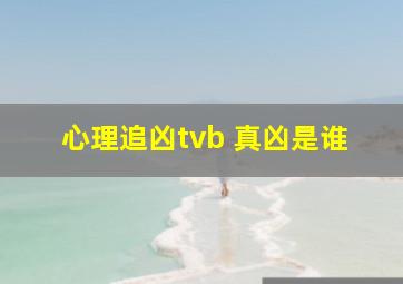 心理追凶tvb 真凶是谁