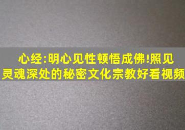 心经:明心见性,顿悟成佛!照见灵魂深处的秘密,文化,宗教,好看视频