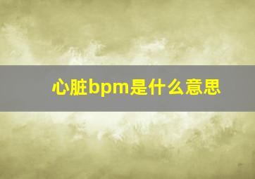 心脏bpm是什么意思