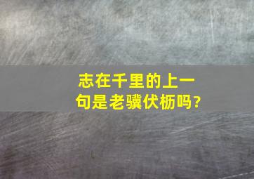 志在千里的上一句是老骥伏枥吗?