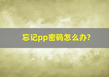 忘记pp密码怎么办?