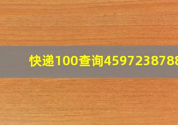 快递100查询459723878824