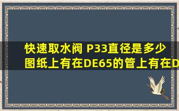 快速取水阀 P33直径是多少 图纸上有在DE65的管上,有在DE32的管上