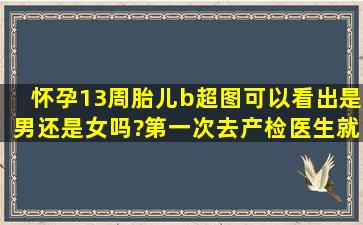 怀孕13周胎儿b超图可以看出是男还是女吗?第一次去产检医生就让照...