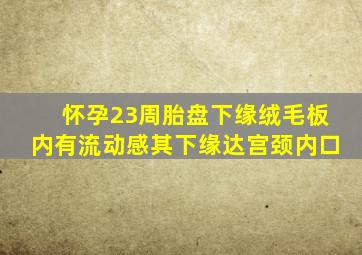 怀孕23周胎盘下缘绒毛板内有流动感其下缘达宫颈内口