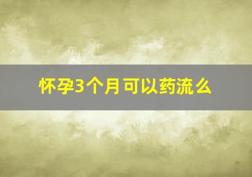 怀孕3个月可以药流么